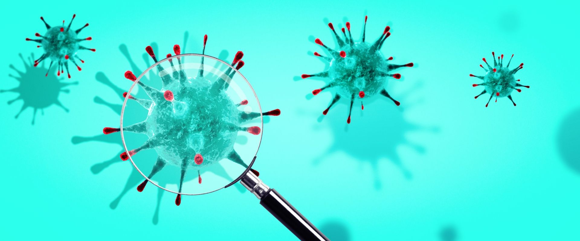 Afbeelding virus onder vergrootglas