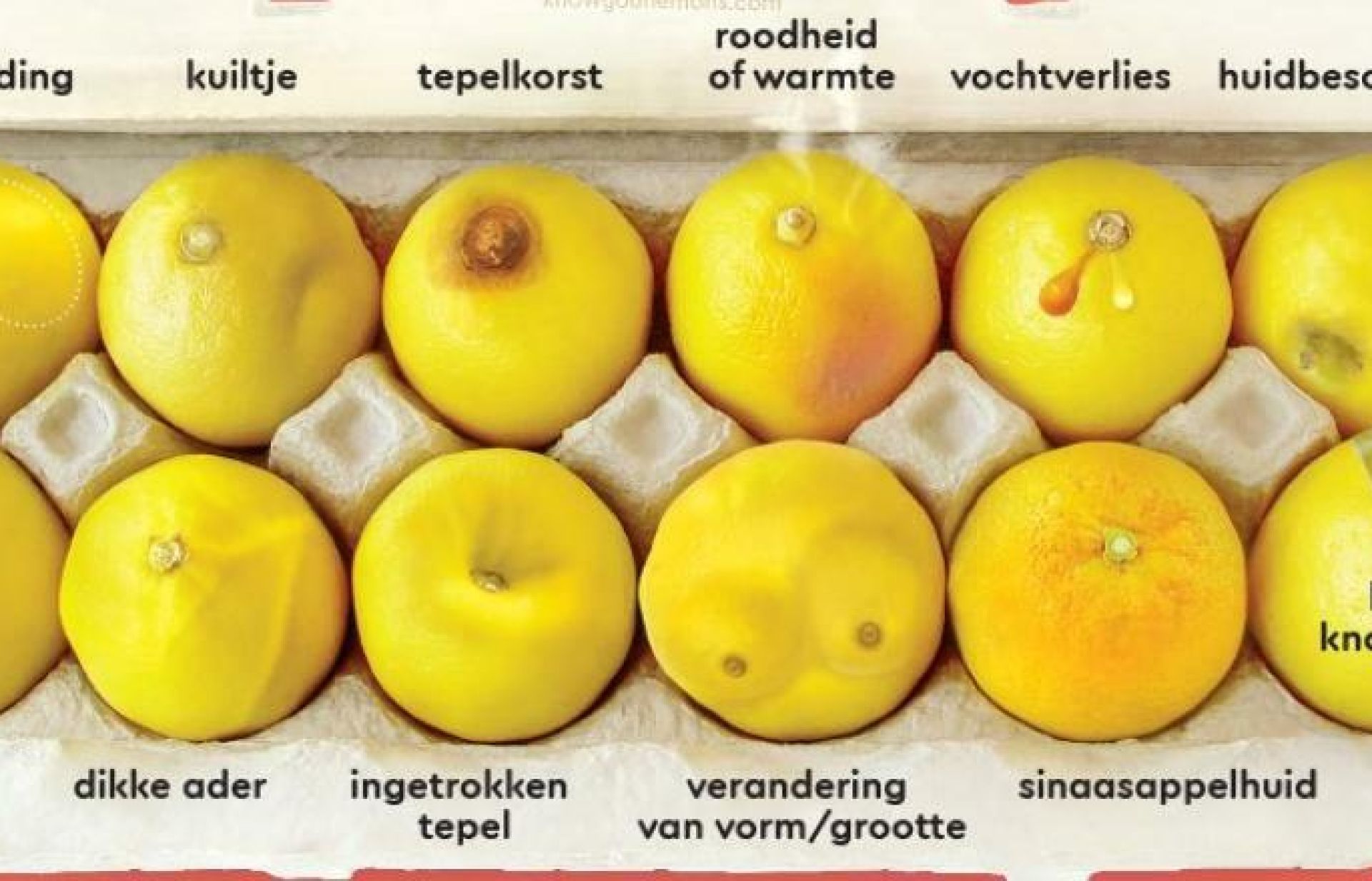 Verschillende citroenen representeren mogelijke indicaties van borstkanker