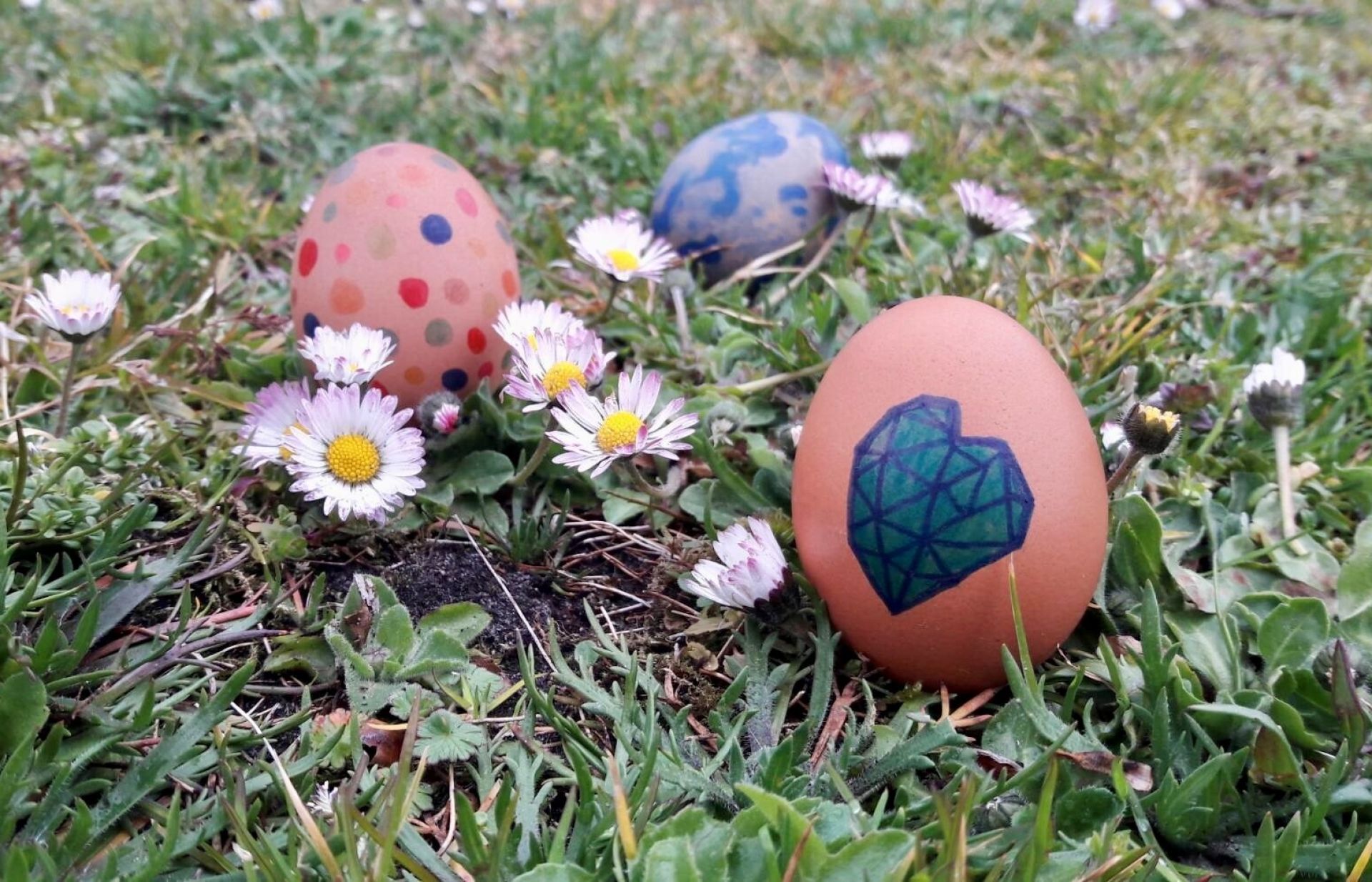 Versierde paaseieren tussen madeliefjes in het gras