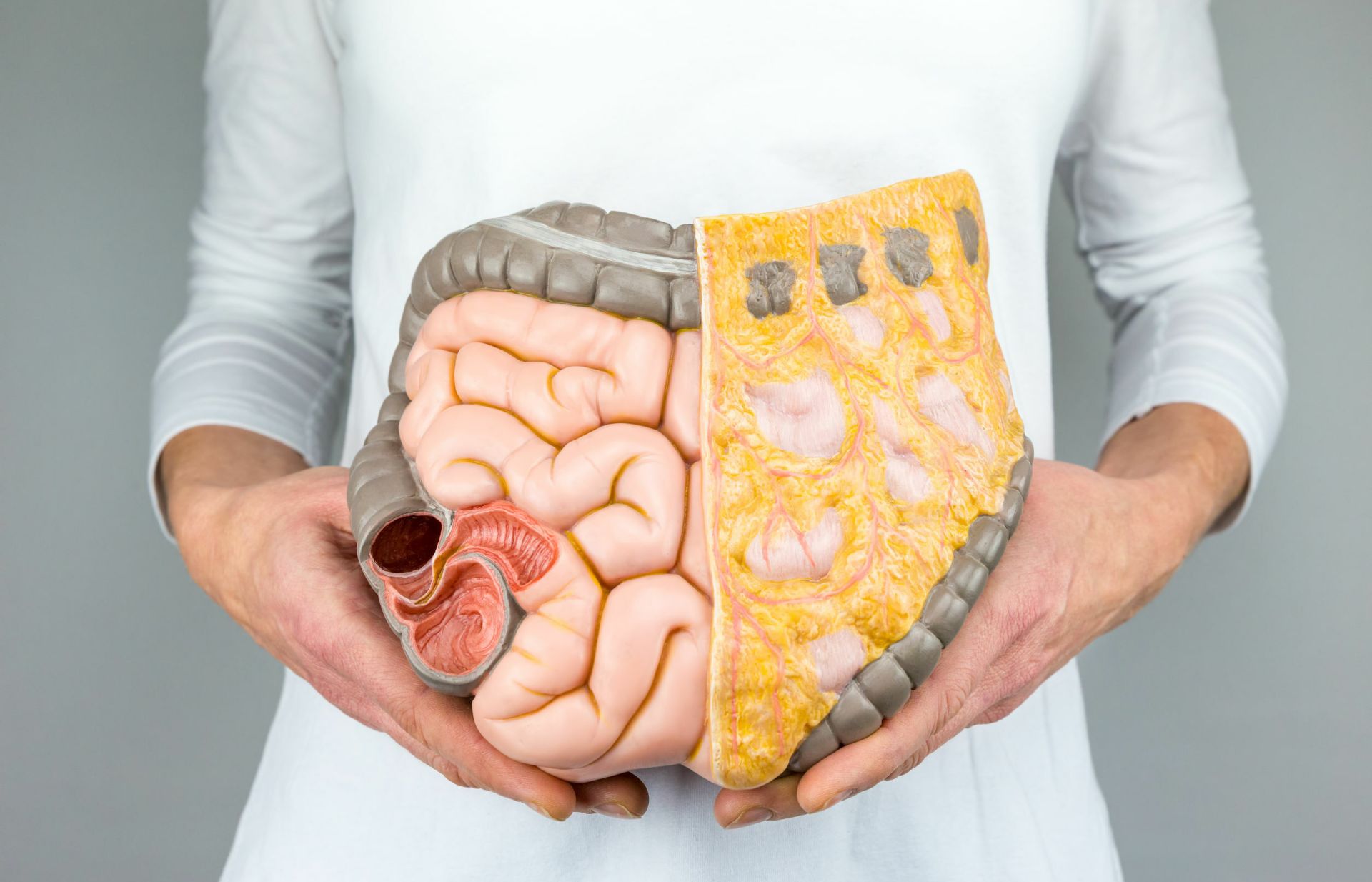 Iemand houdt neporganen vast (maagdarmen)