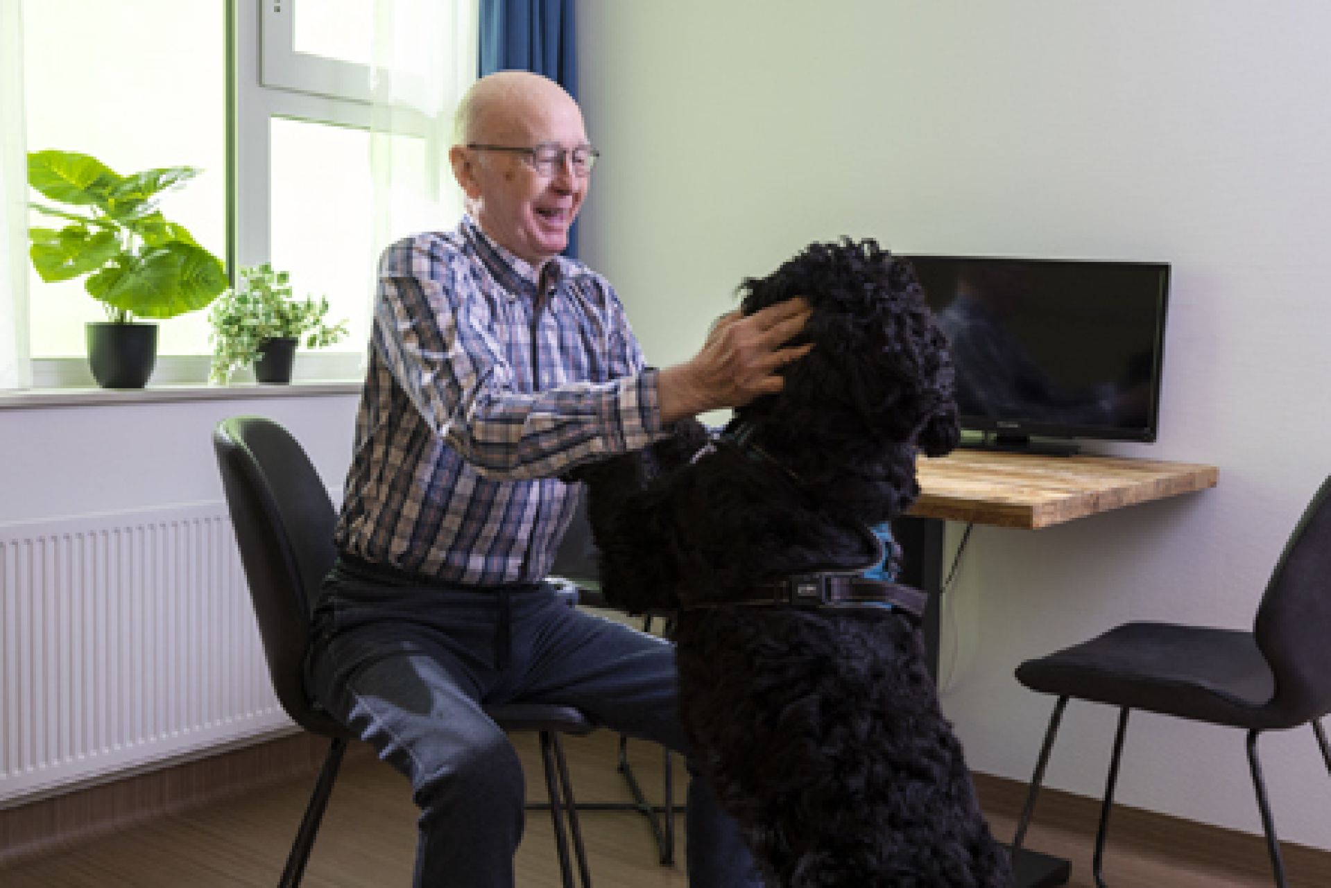 Cliënt speelt in zijn kamer met een hond. 