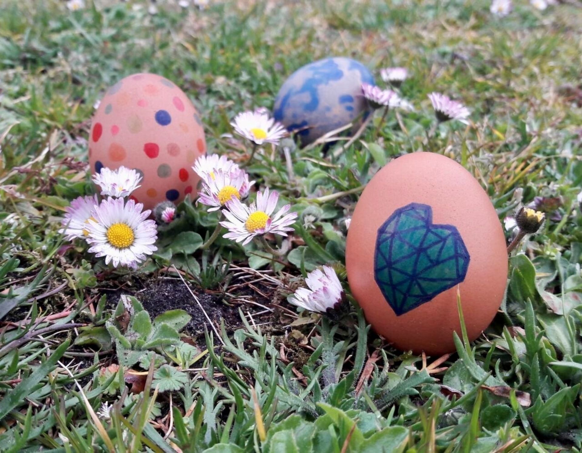 Versierde paaseieren tussen madeliefjes in het gras