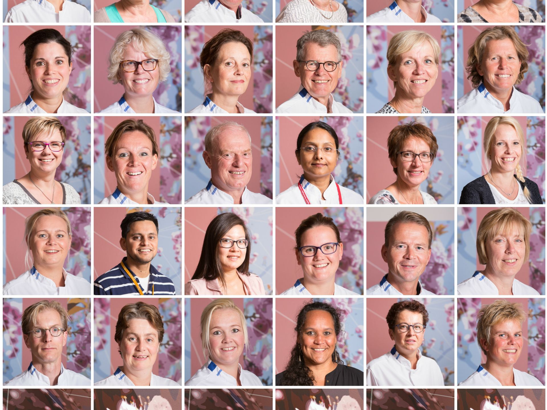 Collage medewerkers van het Mammateam