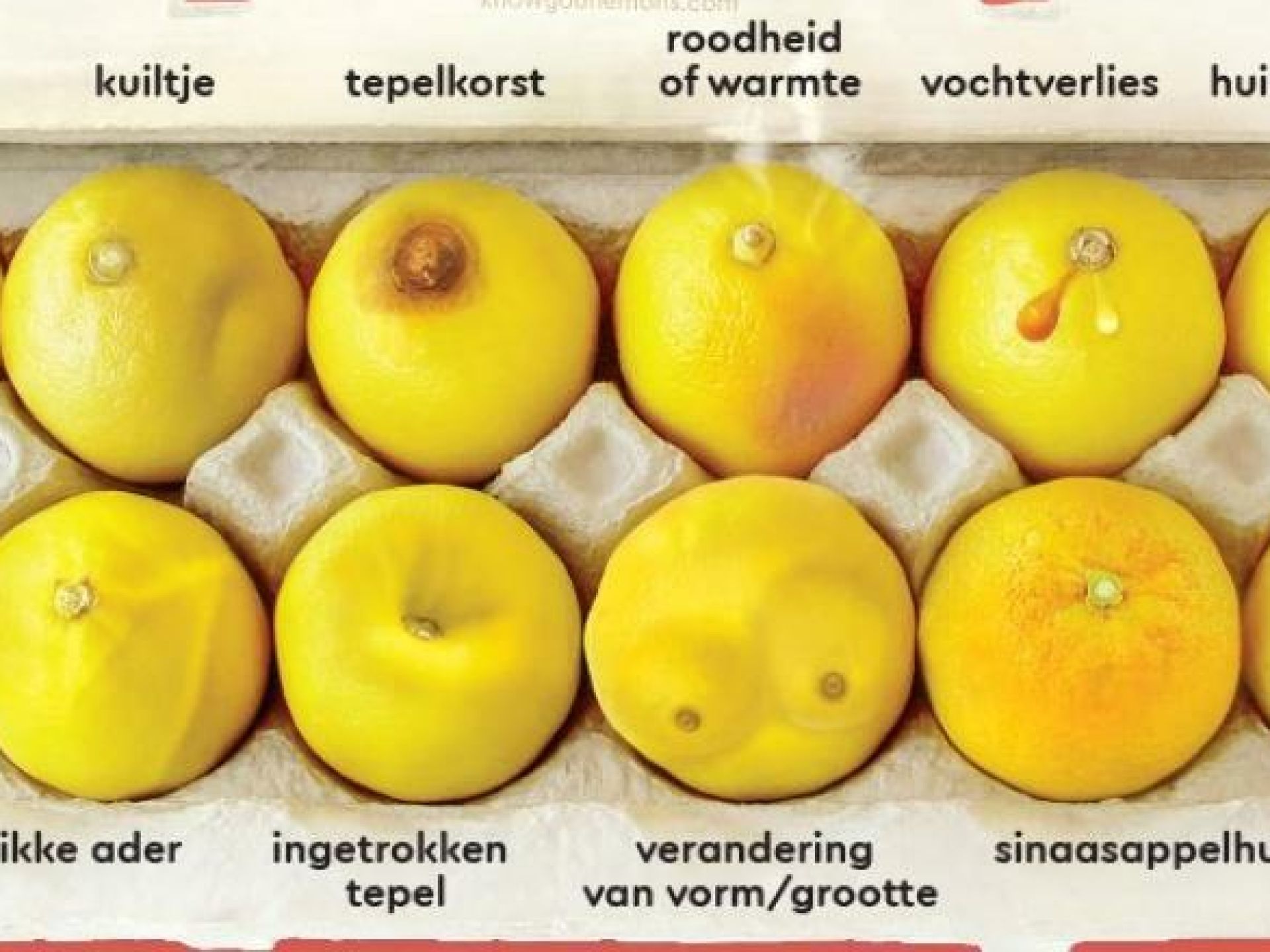Verschillende citroenen representeren mogelijke indicaties van borstkanker